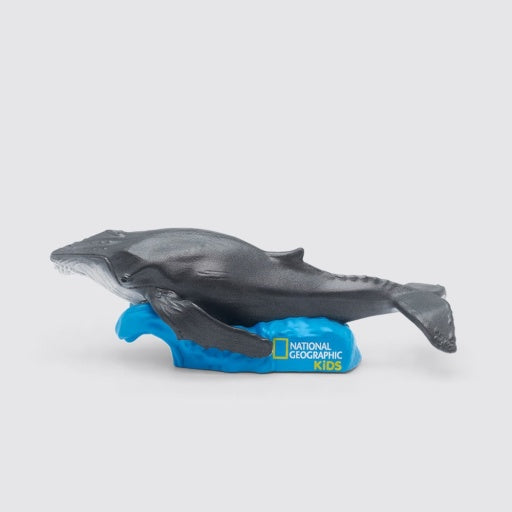 National Geographic Kids: Whale Tonie